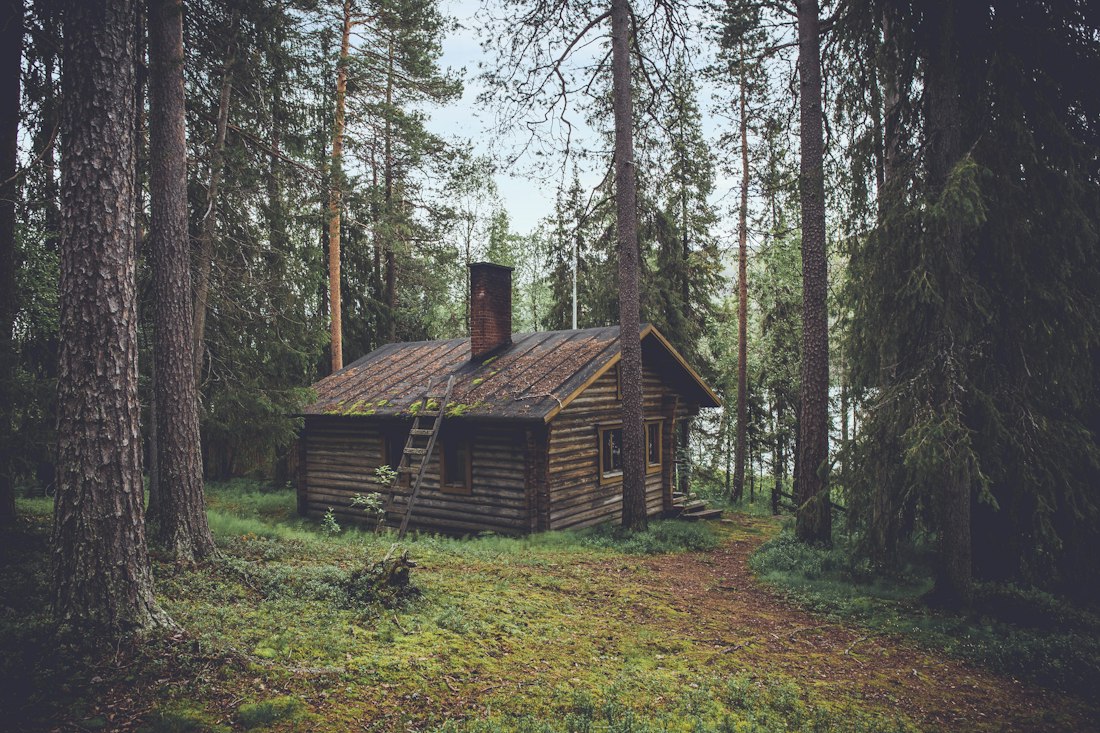 A small timber cabin among trees